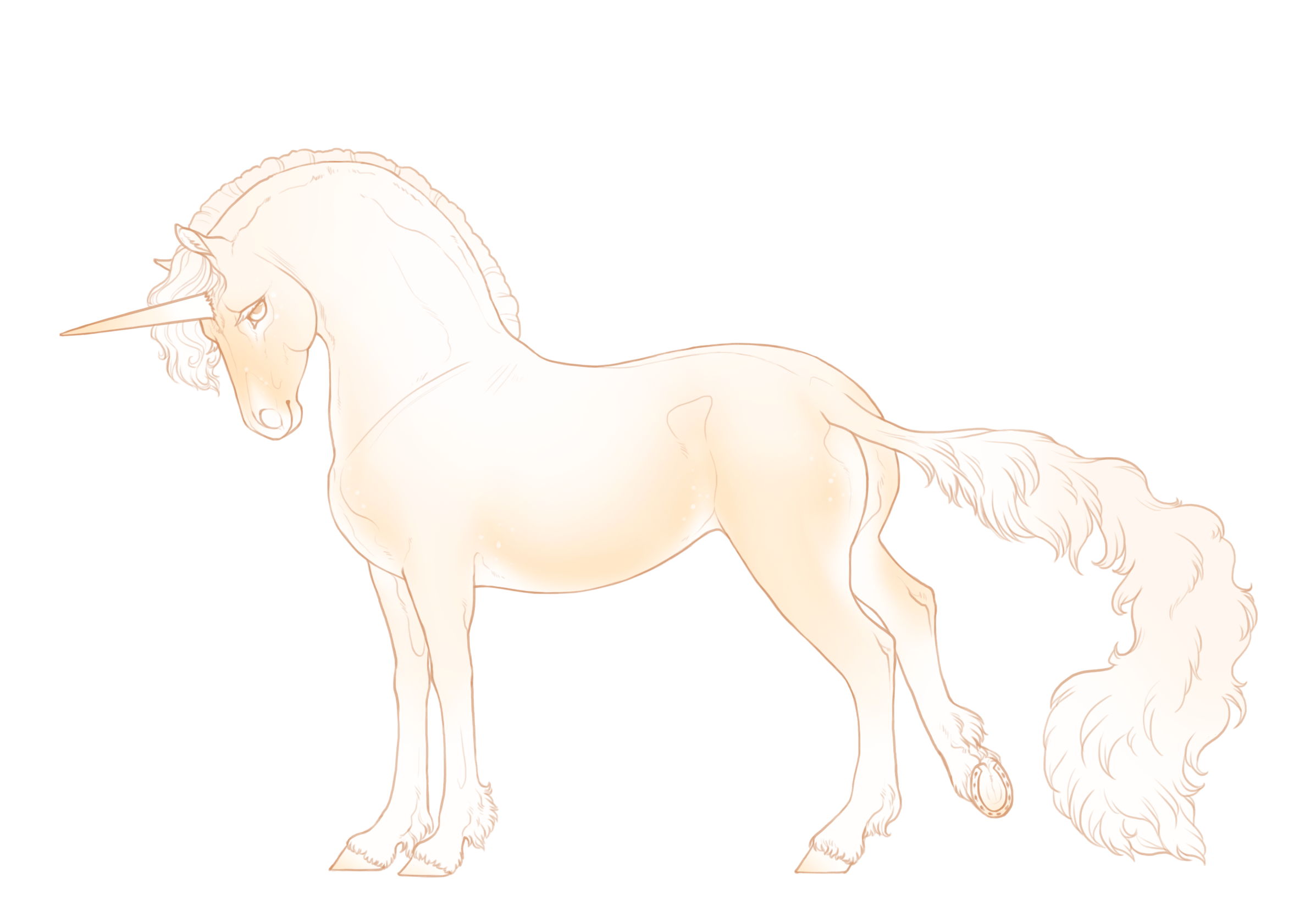 Double Cream Champagne Chocolat Boucle Unicorn